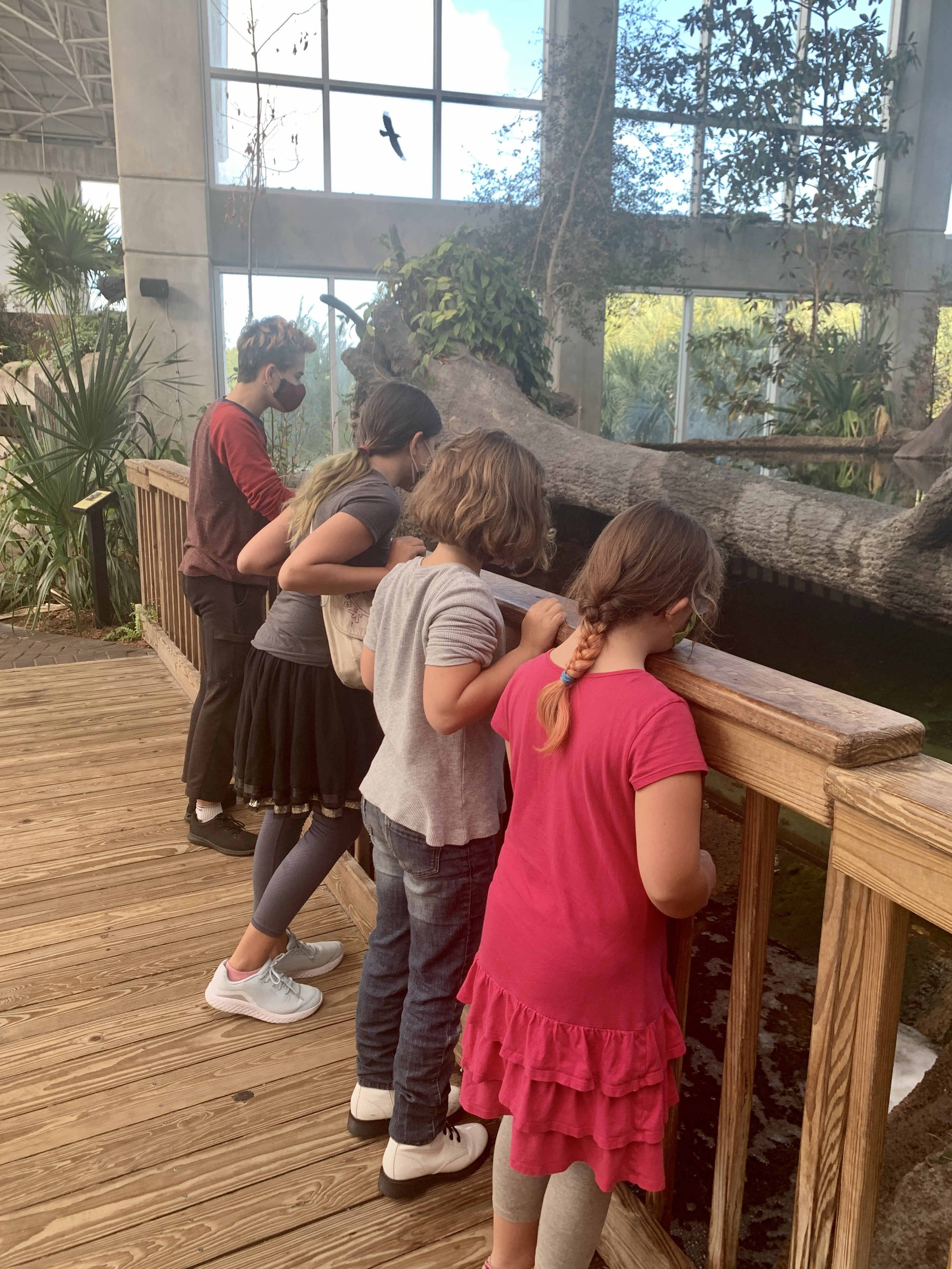 aquarium